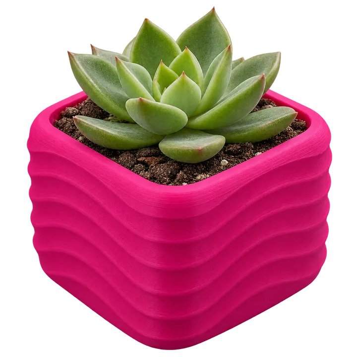 Cachepô para suculentas em impressão 3D (imagem ilustrativa)
